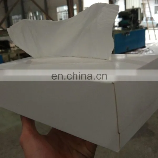 Full Automatic Facial Paper Cardboard Box Sealing Packing Machine photo-2