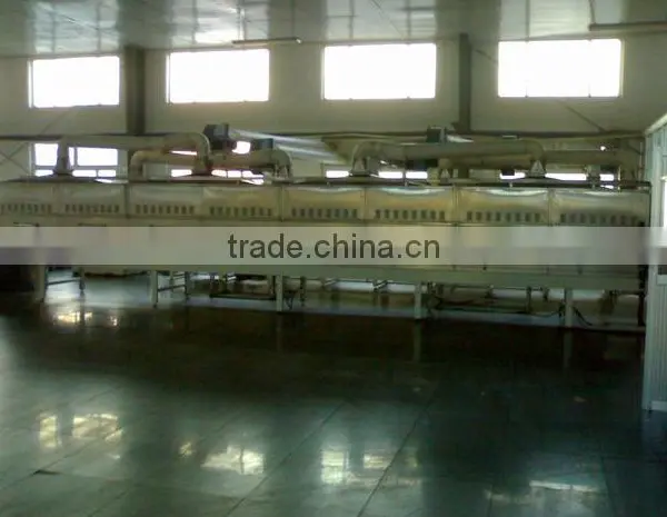 High Efficient Continuous Microwave Dryer photo-4