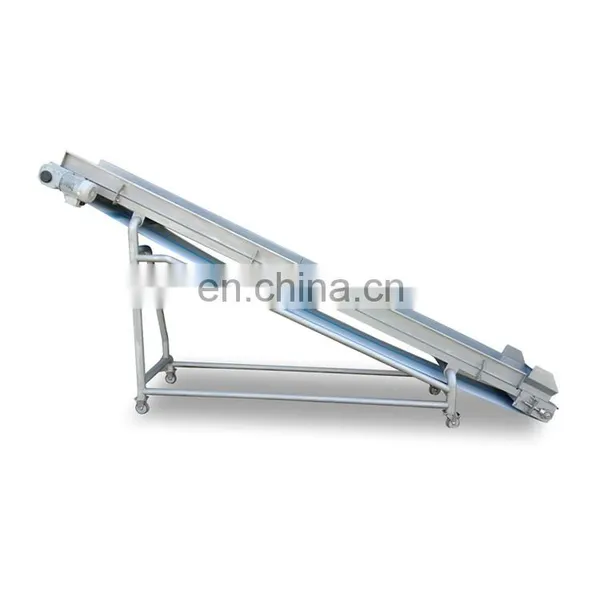 Frozen Fruit and Vegetable Cleaning Processing Line photo-4