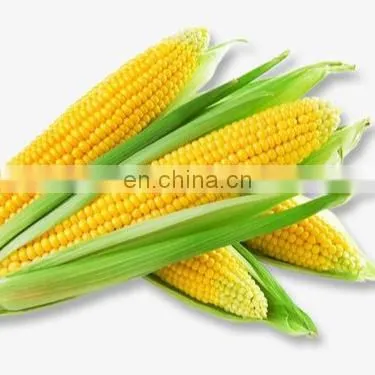 Maize Peeling Machine Maize Seed Removing Machine