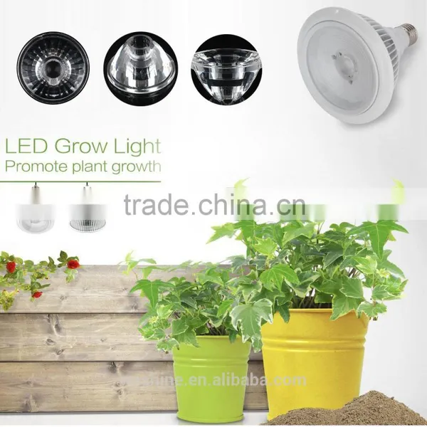 High-Tech Place 24v E27 COB LED Grow Light 21 Watts 50,000+ Hours Lifetime, Red And Blue Color Bands photo-4