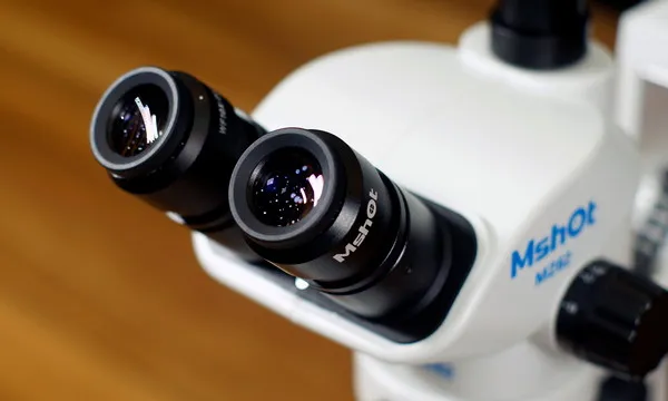 Stereo Microscope MZ62 photo-2