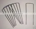 Wire Staple