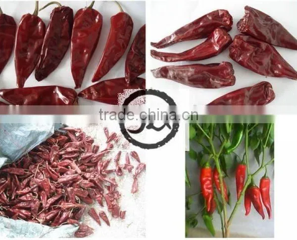 SHU 8000~30000, Red Hot Chilli photo-4