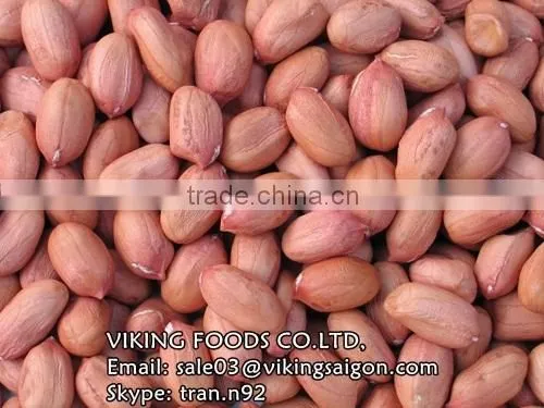 VIETNAM PEANUTS KERNELS/GROUNDNUTS GOOD QUALITY - BEST PRICE photo-3