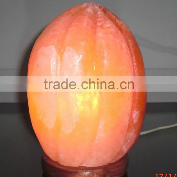Himalayan Salt Lamp Crafted Shapes photo-4