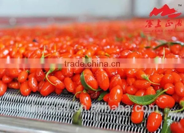Dried Goji Berry 650grains/50g photo-2