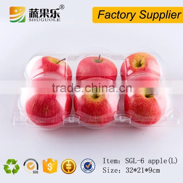 6 Loaded Clear Plastic Packing Box for Orange/apple photo-5