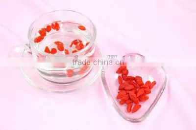 Oriental Chinese Herbal , Goji Berry or Goji Berries photo-2