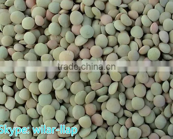 Lentils New Crop , Whole Lentils, Green Lentils