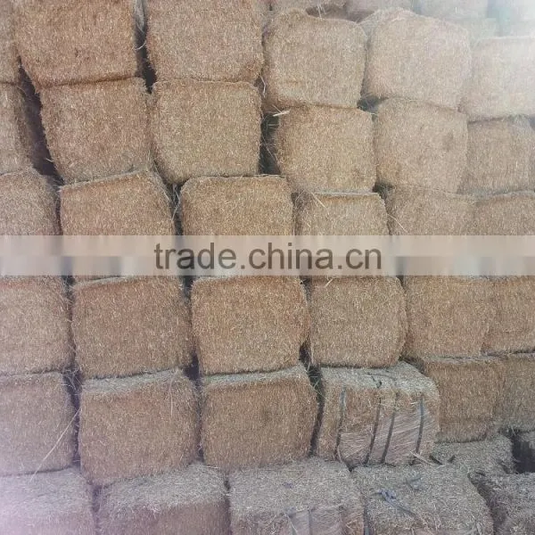 Wheat Straw photo-5