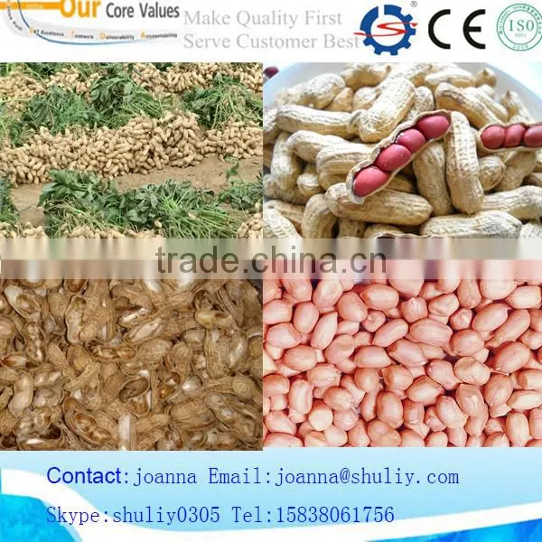 High Shelling Rate Peanut /groundnut Shell /sheller Removing Machine 0086-15838061756 photo-2
