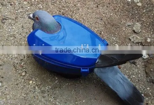 2016 New Products Pigeon Accessory Pigeon Holder to Feed Your Pigeon photo-3