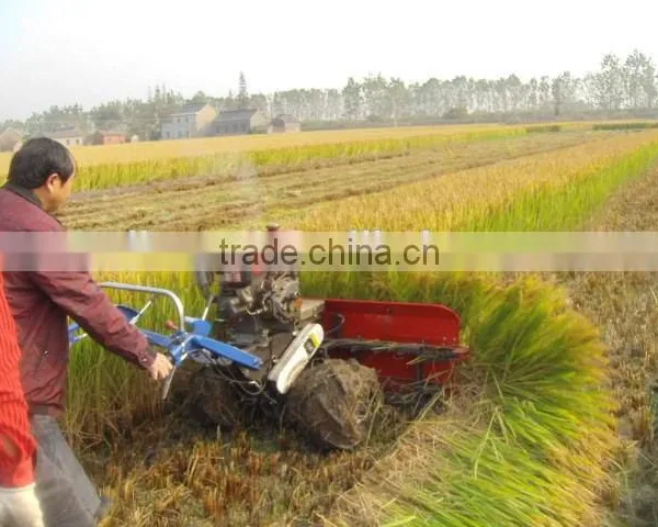 Agriculture Machine of Rice photo-3