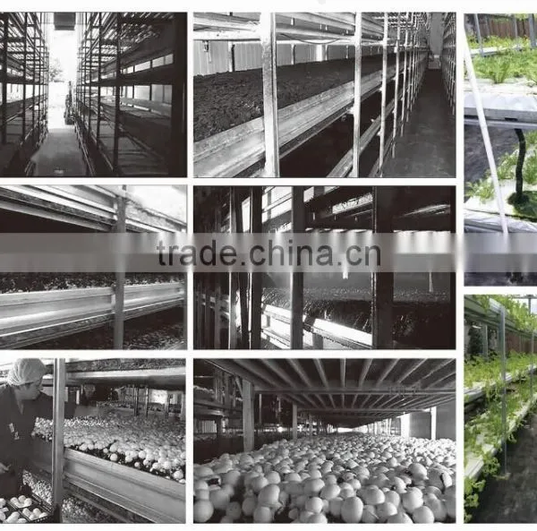 Aluminum Extrusion Profile Planting Frame Fungi Planting Frame With Nice Shape photo-5