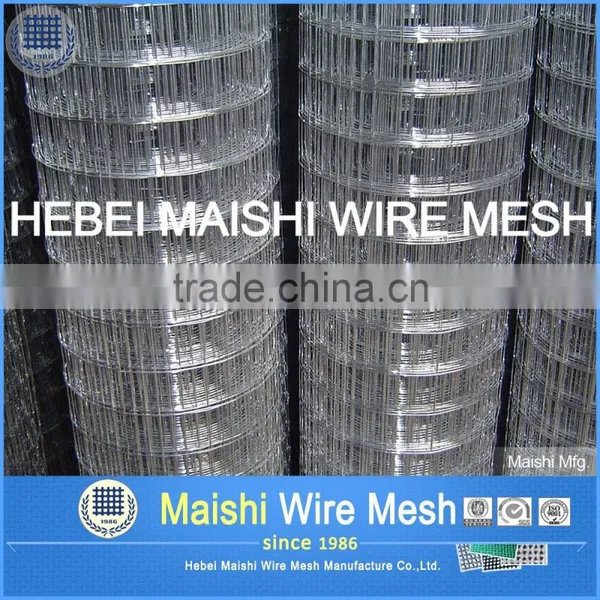 HQ Welded Wire Mesh for Fencing photo-6