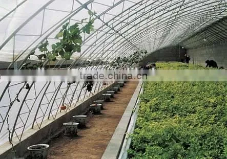 Easily Assembled Polycarbonate Pc Sheet Greenhouse For Agriculture photo-4