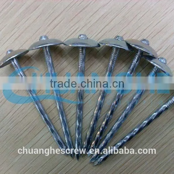 Red Color Head Galvanized Roofing Nail photo-3