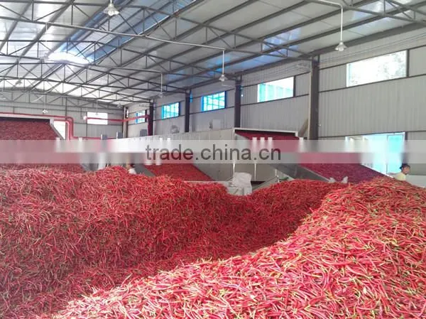 Top Quality Tea Leaf Drying Machine,tea Leaf Dryer,tea Leaf Processing Machine photo-2