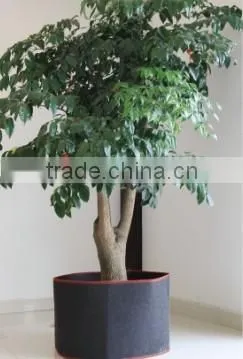 Non Woven Grow Bag for Plant,Indoor and Outdoor Planter Bags photo-2