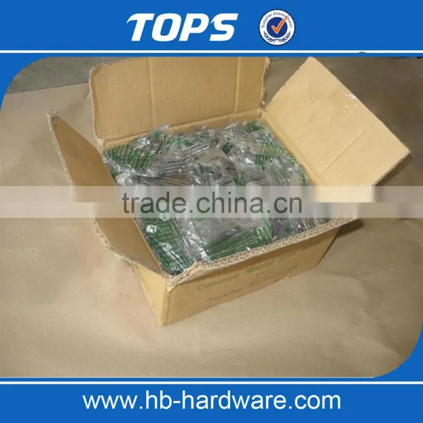 Polished Common Nails for Sale photo-4