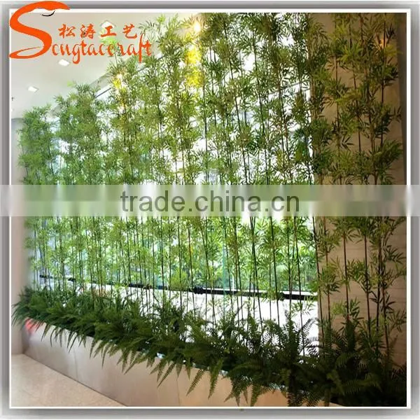 China Supplier New Product Bamboo Price Plastic Lucky Bamboo Plants for Sale photo-4