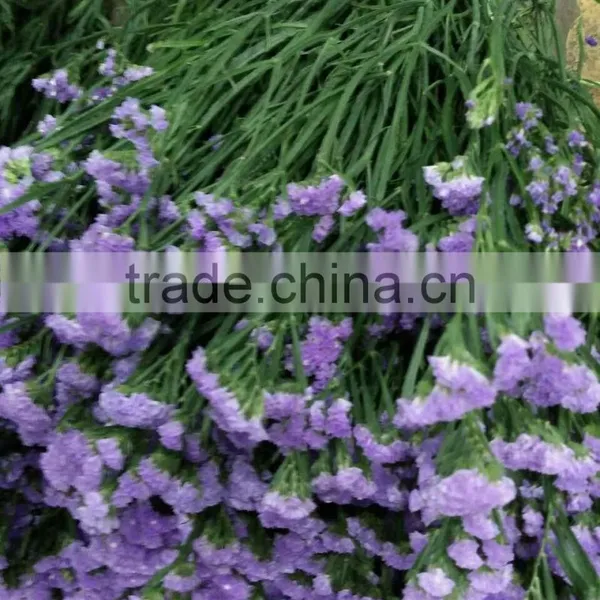 Real Touch Flowers Wholesale Cut Flowers Statice Wedding Flowers photo-3