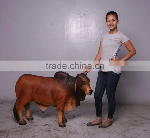 Definitive Brahman Looking Right photo-5
