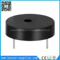 Piezo Transducer