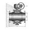 Trunnion Ball Valve