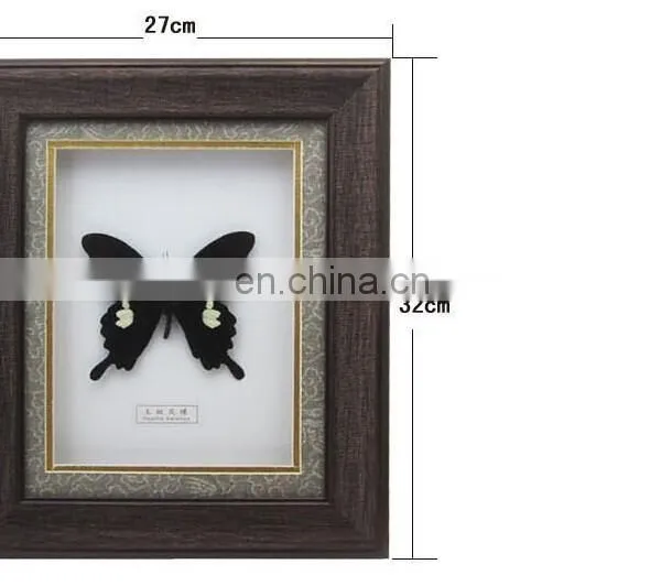 Nature Real Butterfly Frame Home Decoration Craft photo-5