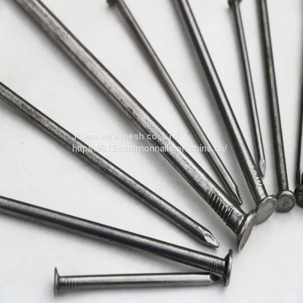 Cheap Price Polished Common Nails photo-3