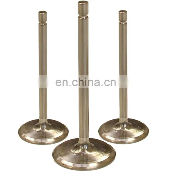 Japanese New Moto Spare Parts Intake Exhaust Engine Valves For Honda Wh100t-h-f-g SCR100 photo-3