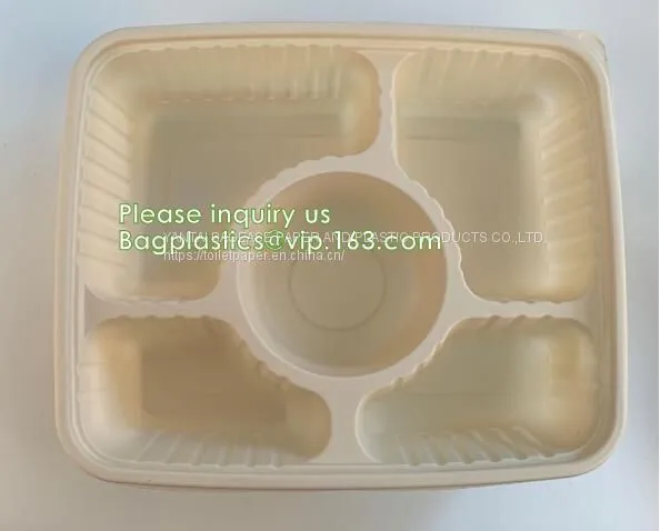 Disposable Corn Starch Plates, Biodegradable Corn Starch Food Container, Biobased Food Tray, Disposable Plastic Takeaway Meal Tray, Corn Starch Blister Packaging Tray, Blister Packaging photo-4