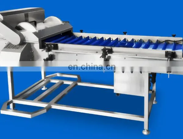 Automatic Double-head Root Removal Machine Scallion Garlic Cabbage Root Cutting Machine photo-4