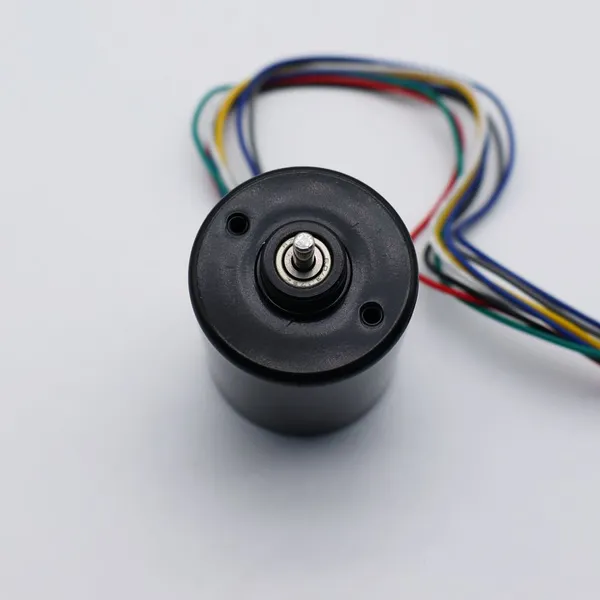 36mm Motor dc 12 Volt Brushless 24V Bldc dc Motor photo-4