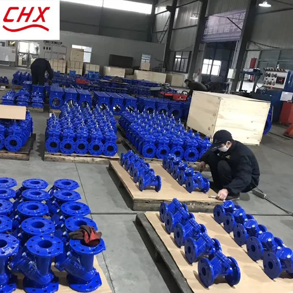 DIN Excellence PN10/16 150LB DN50-300 GGG50 Ductile Cast Iron Ball Type Check Valve Soft Seal Durable Swing Manual General photo-6