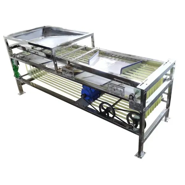 Dragon Fruit Sorting Grading Machine Sorter Grader Machine Line Classifying Machines photo-3