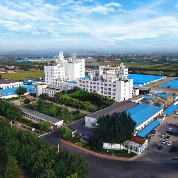 China Supplier Liquid Cleaning Dishwashing