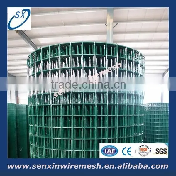 China Anping Factory India Market Popular 12.7mmX12.7mmX3FTX10M 6kg/8kg Pvc Coated Welded Wire photo-6