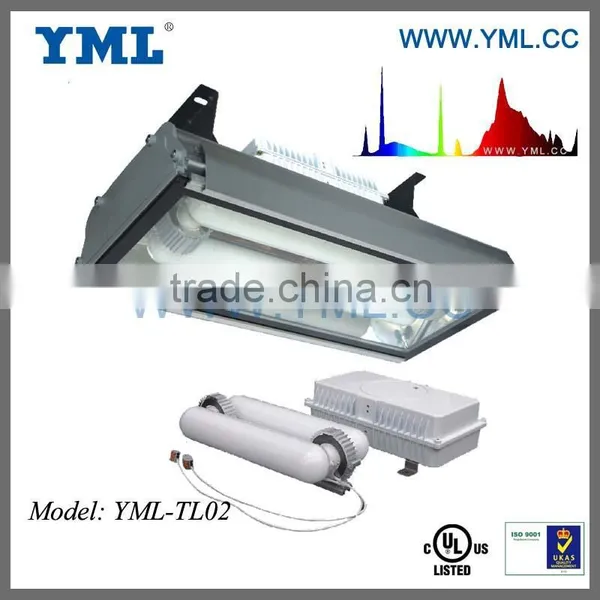 40-600W Magnetic Light Induction Lighting Magnetic Induction Induction Tunnel Light