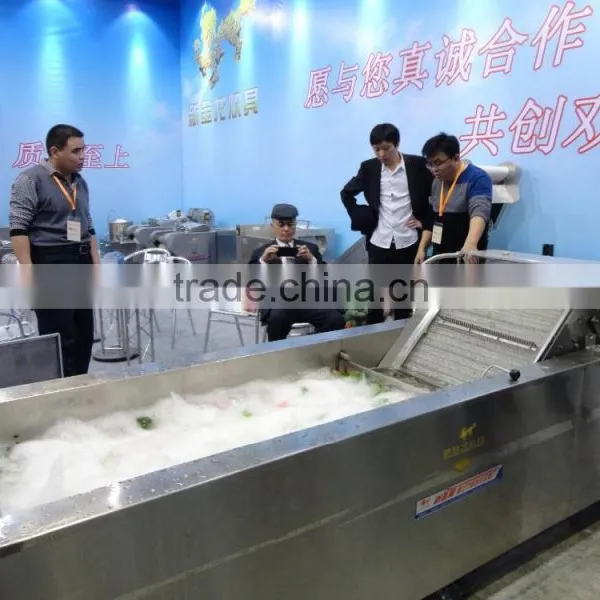 Commercial Vegetable Washer, CHINA FD, Fruit and Vegetable Washer