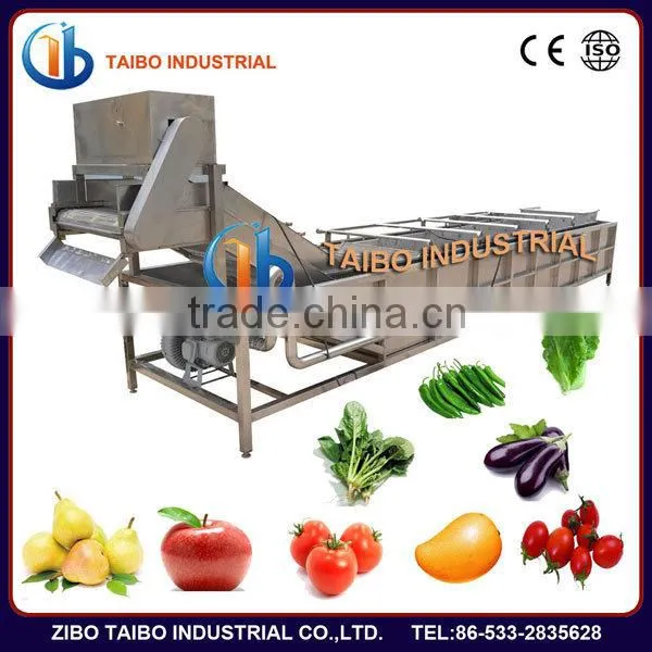 Food Machinery Manufacturer Washer Type Fruits and Vegetables Washing Equipment photo-2