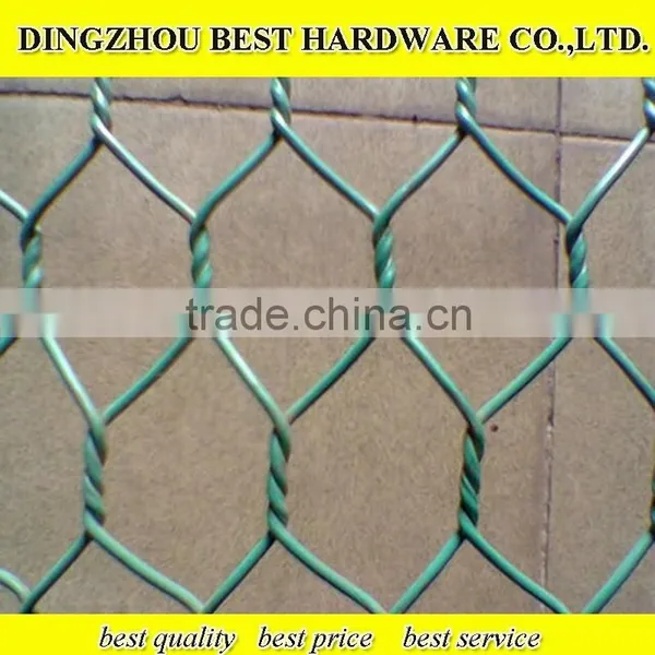 Galvanized Chicken Wire Netting photo-5