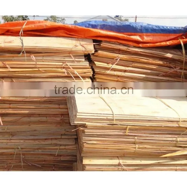 Eucalyptus Veneer photo-4