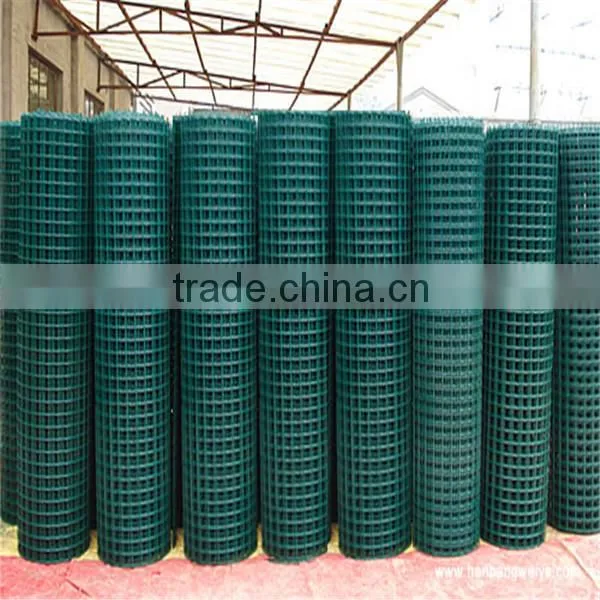 Welded Wire Mesh/pvc Coated Welded Wire Mesh