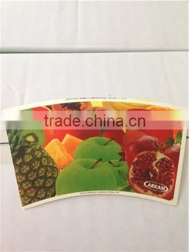 Paper Cup Anhui photo-5