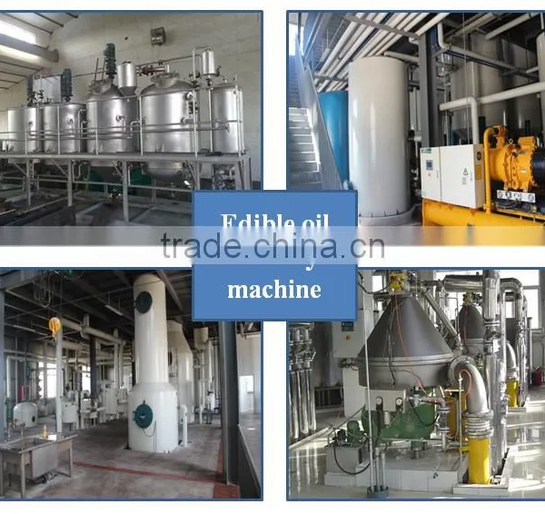 China Best Manufacturer Soybean Oil Pressing Machine photo-2