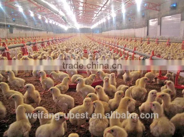 Chicken Breeding Machine / Breeder Farm Equipment photo-4