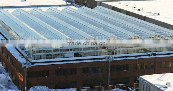 Commercial Greenhouses China photo-3